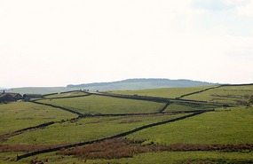 Rock walls replace hedges
