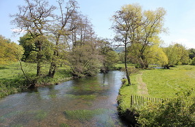 Stream at Haddon Hall