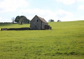 Barn in field