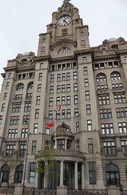 Liver Building
