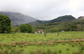 Farmhouse