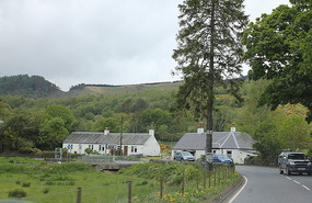 White washed houses