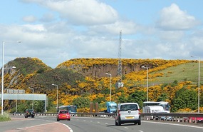 Yellow hills