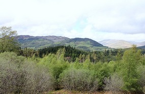 Mountain view