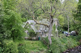 By the stream