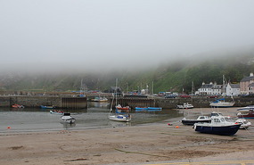 The mist comes in