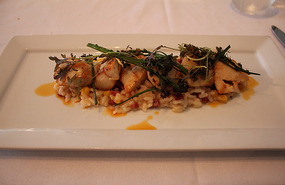 Lovely scallop and risotto