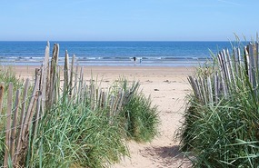 To the beach