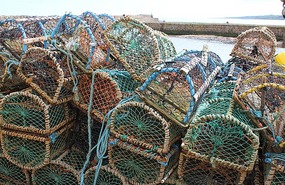 Crab pots