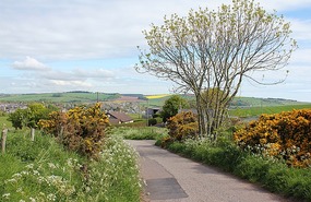 Walking near Stonehaven