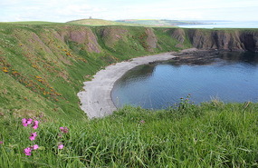 Stonehaven bay