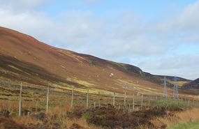 Then heather on the hills