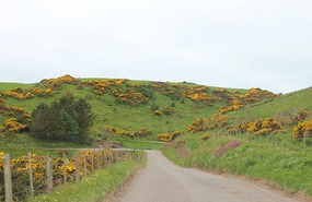 Driving along Northern coast