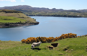 By Loch Harport