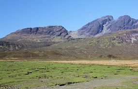 Mossy growth and mountains