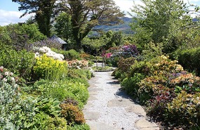 Garden across the road