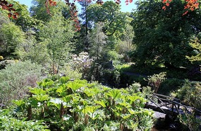 Garden at Dunvegan Castle