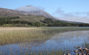 Reeds and mountains