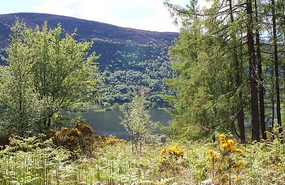 Another loch
