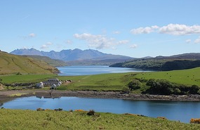Large farm