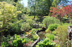 Dunvegan garden