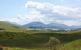 Loch Tulla and pine forests