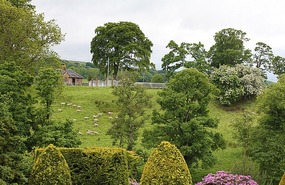 View from Burns Monument