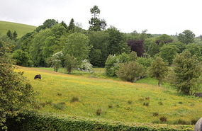 English country scene
