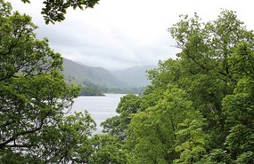 Ullswater through the trees