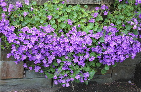 Love this purple