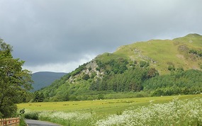 Cow parsley by the road and buttercup fields