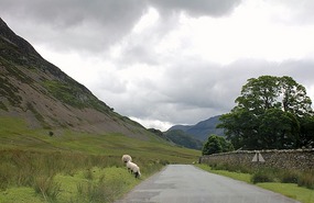 Gathering clouds