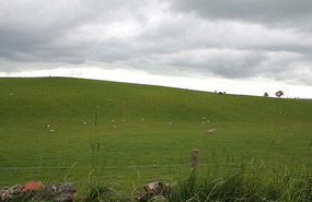 Green velvet hills