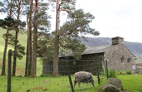 Sheep shed by Buttermere