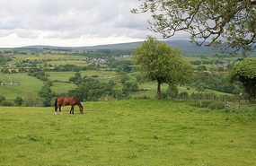 View from Birdoswald area