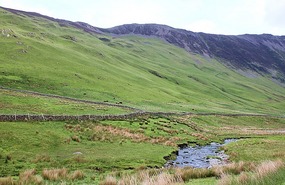 Stream in the valley