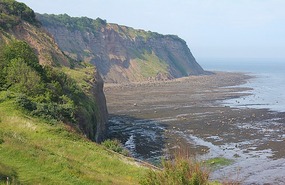 Bay from the cliffs
