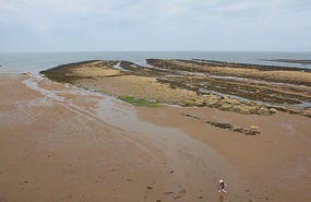 Running on the beach