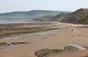 Old Bay