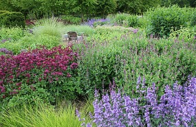 Perennial Meadow at Scampston