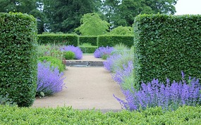 Hedging at Scampston