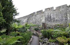 Walls of the city