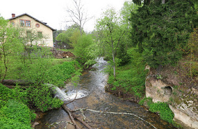 Stream near Ligatne in Gauja National Park