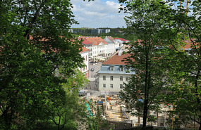 View from Toomamagi Hill
