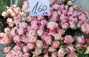 At the flower market