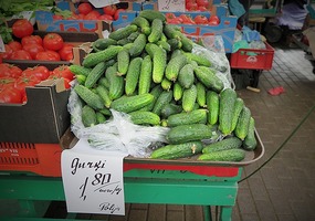 Cucumbers are everywhere