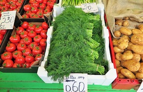 Dill very popular on dishes