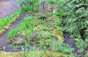 Most graves are mainly green