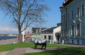 Another cow, Ventspils