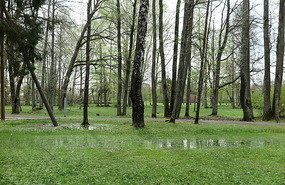 Boggy ground all around